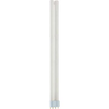 Philips MASTER PL-L Polar 36W/840/4P 